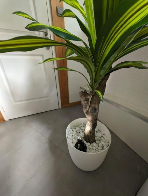Appartement Evasion Verte En Alsace ! Niederschaeffolsheim